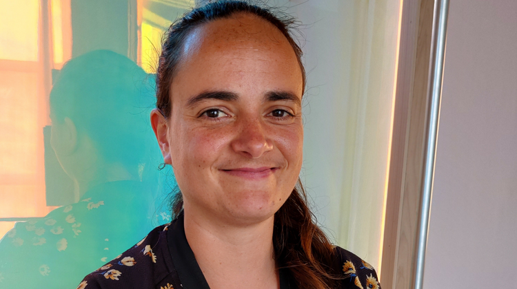 Alenka
