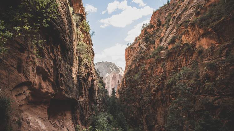 Wat is de digitale kloof en wat is het verschil met digitale uitsluiting?