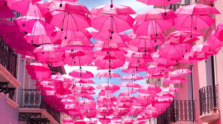 What is the Media Literacy Competency Model?