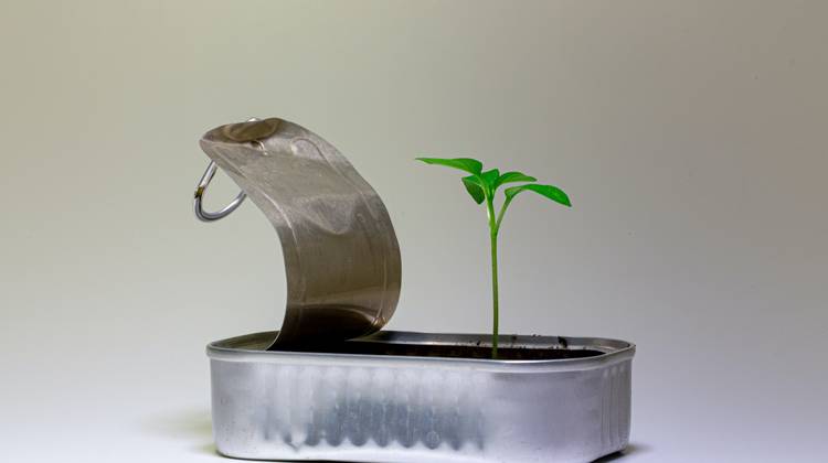 6 tips om kinderen op te voeden in een digitale wereld 