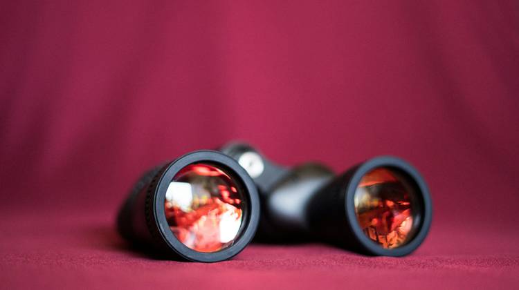 Hoe kan je digistarters herkennen in je organisatie?