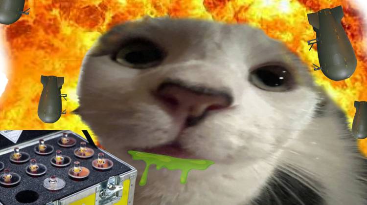 Wat moet je weten over memes?
